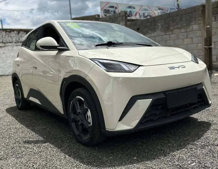 BYD Seagull 2024 Electric – photo 4