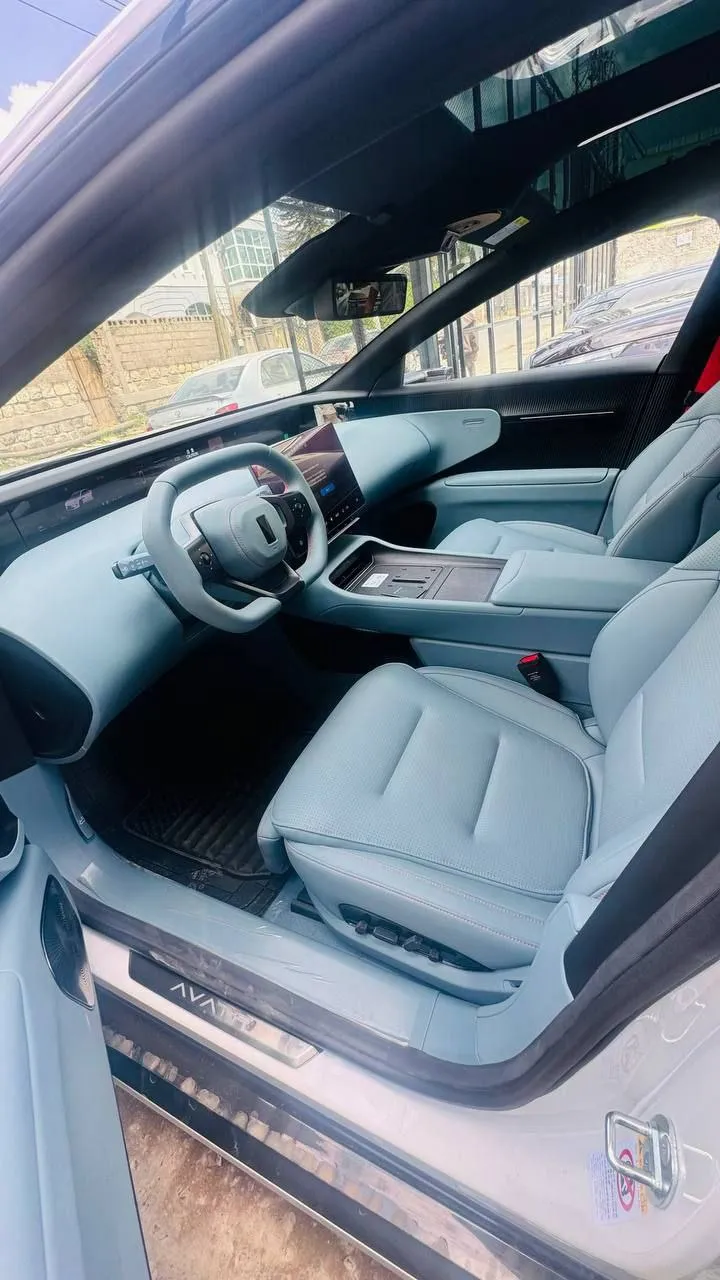 2025 Avatar 12 EV AWD – photo 9
