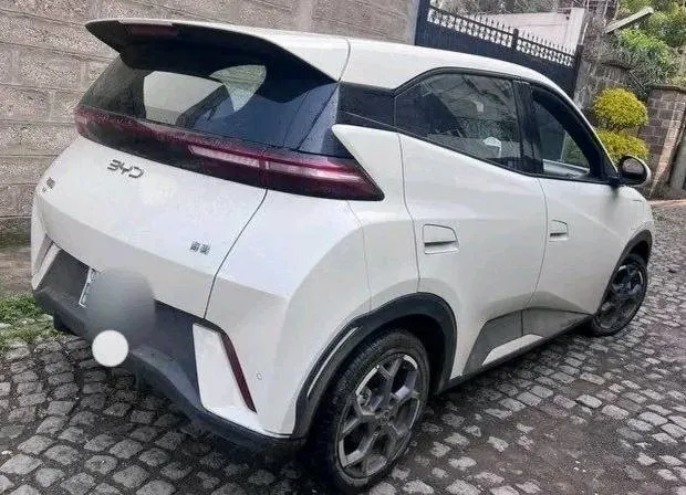 BYD Seagull 2025 Electric – photo 3