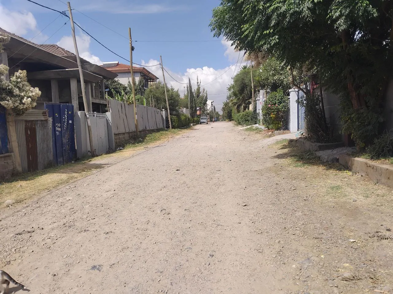 250 Sqm Land for Sale Ayat – photo 4