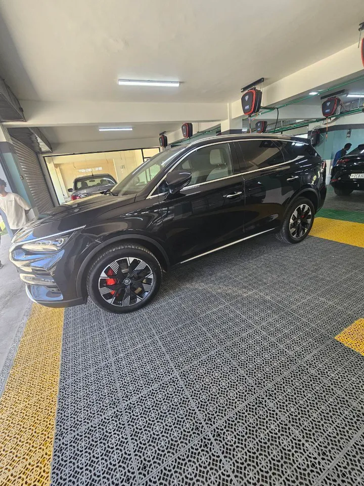 2025 BYD Tang DM-P Champion Edition – photo 7