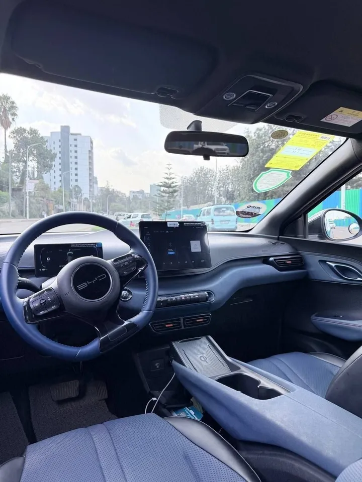 BYD Seagull Premium 2023 – photo 3