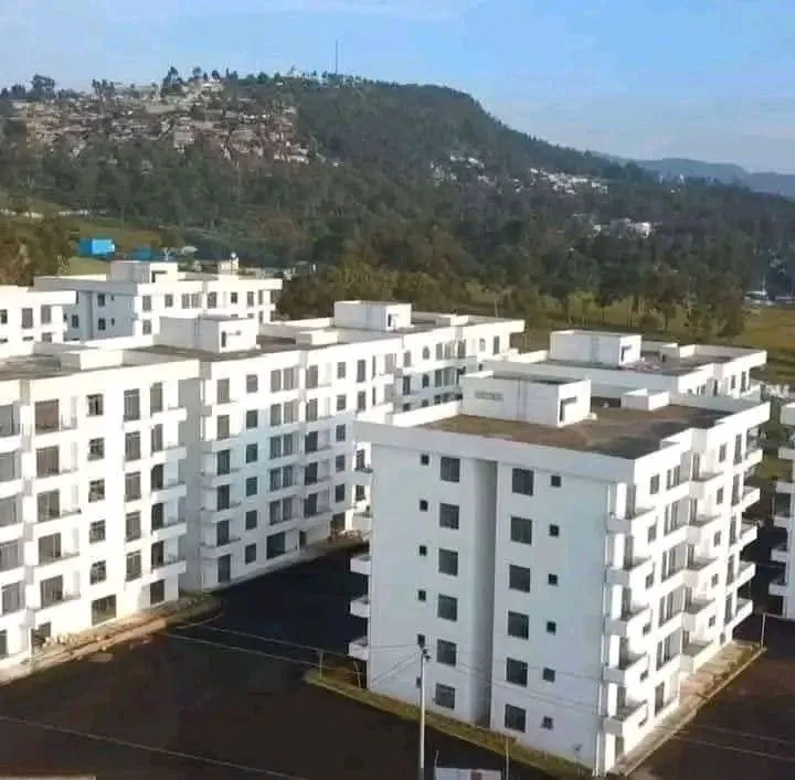 3 Bedroom 116 sqm Apartment Hayat – photo 3