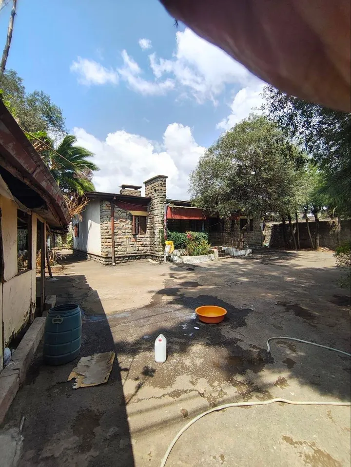 750 sqm Plot for Sale Kazanchis – photo 5