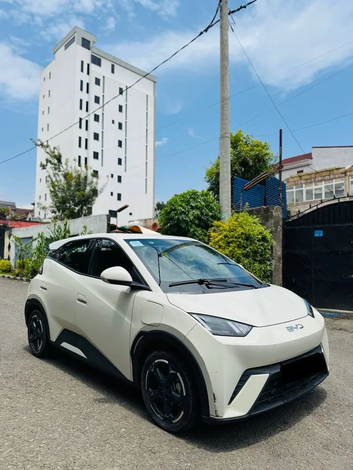 BYD Seagull 2024 Electric – photo 3
