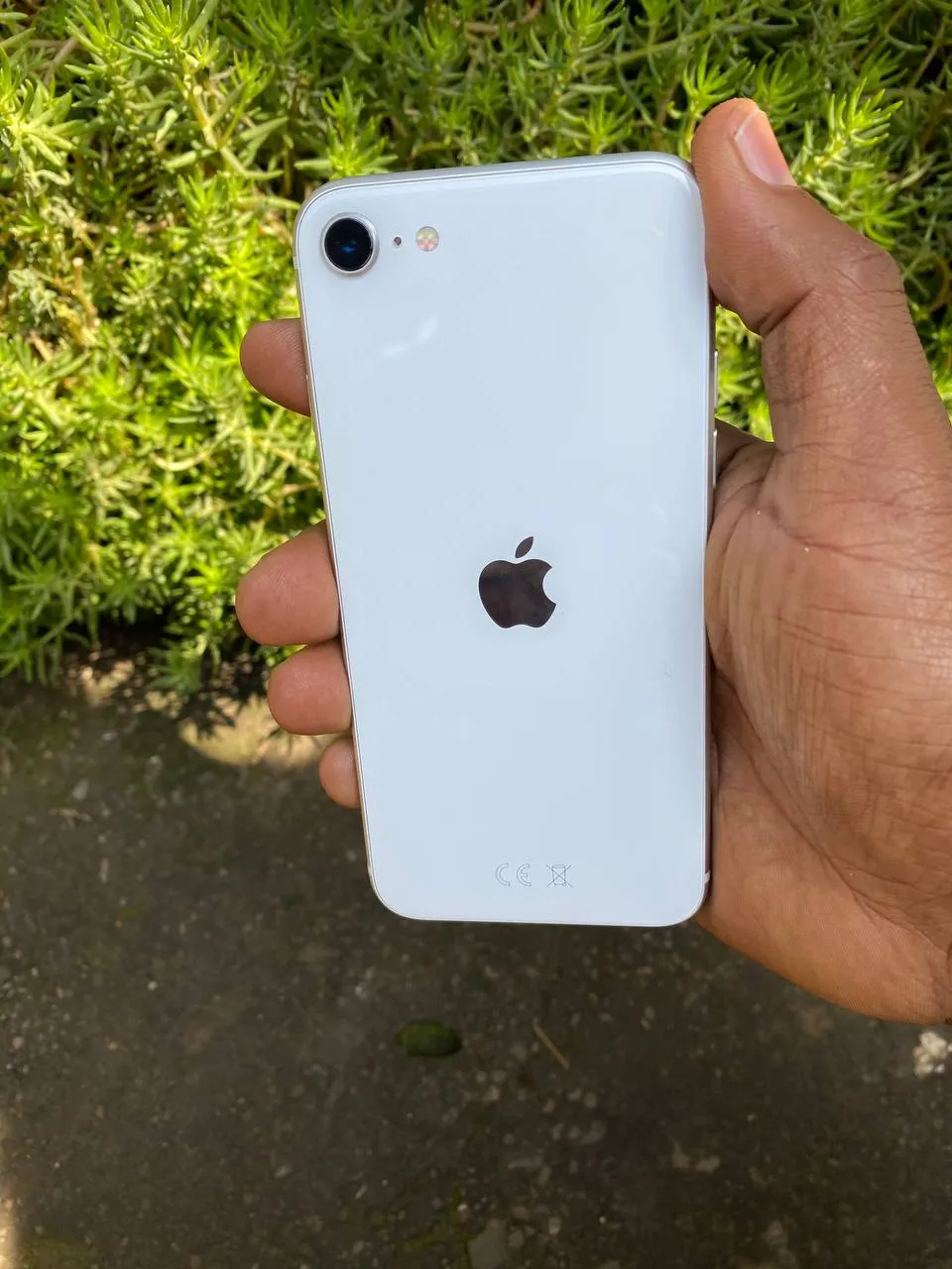 Apple iPhone SE 64GB – photo 7
