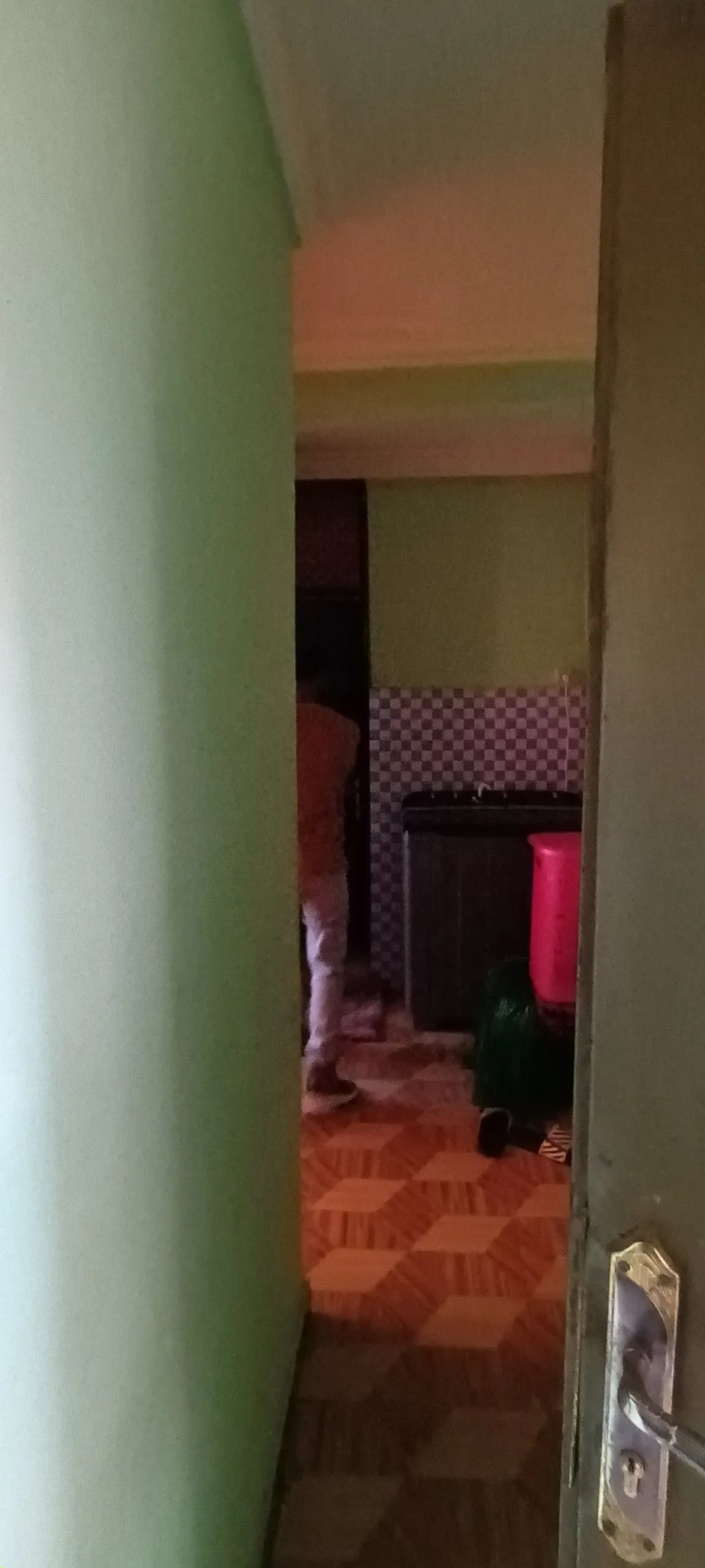 20/80 Condominium Bole Arabsa 2 Bedroom – photo 6