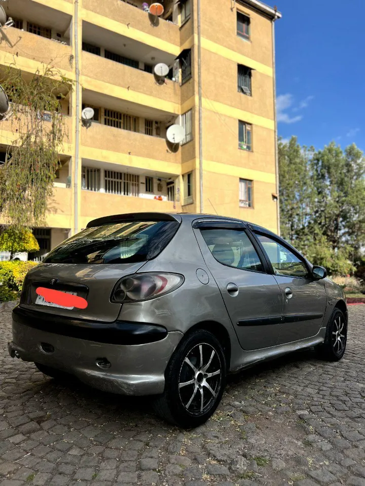Peugeot 206 2004 Manual – photo 6