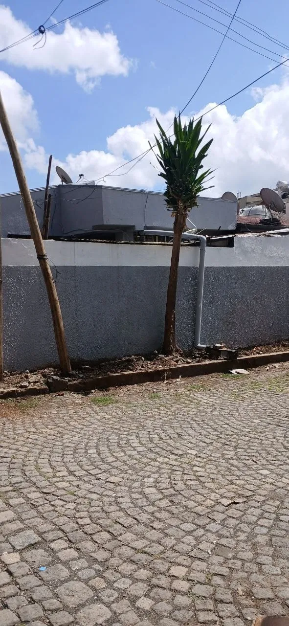 3 Bedroom House for Sale Fega – photo 3