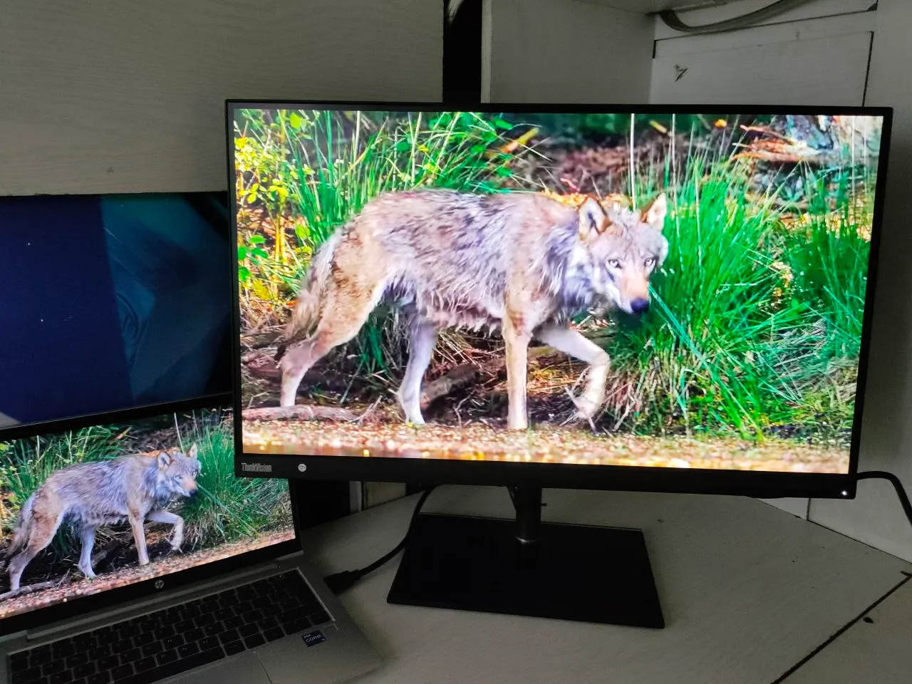 Lenovo ThinkVision 27 Inch Monitor – photo 3