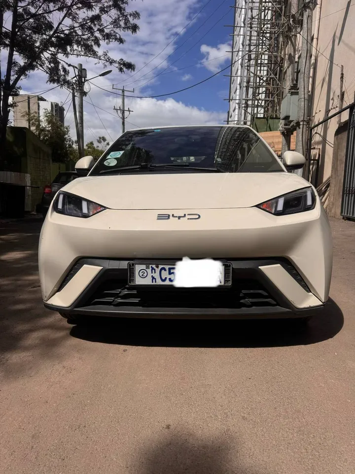 BYD Seagull 2024 Electric – photo 3