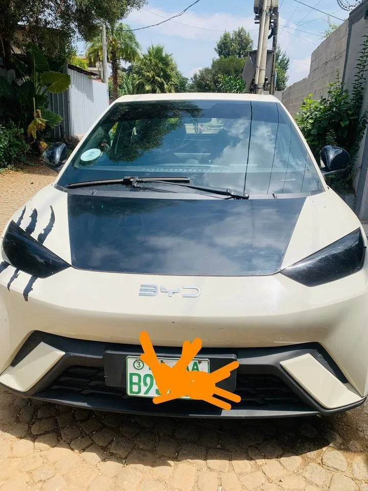 BYD Electric Hatchback 2025 – photo 4