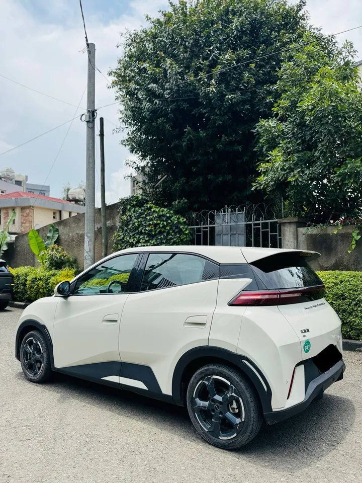 BYD Seagull 2024 Electric – photo 5
