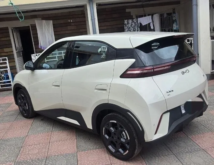 BYD Segull 2024 Electric – photo 3