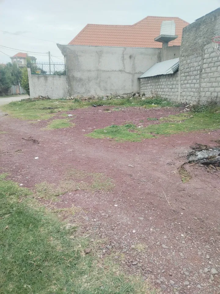 190 sqm Land for Sale Hayat – photo 3