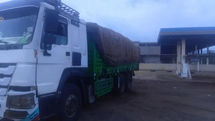Sino Truck Kasoni 2015 – photo 3