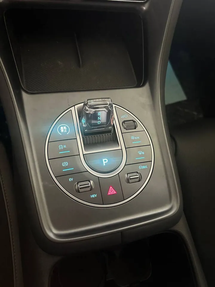 2025 BYD Song Pro DM-i – photo 5