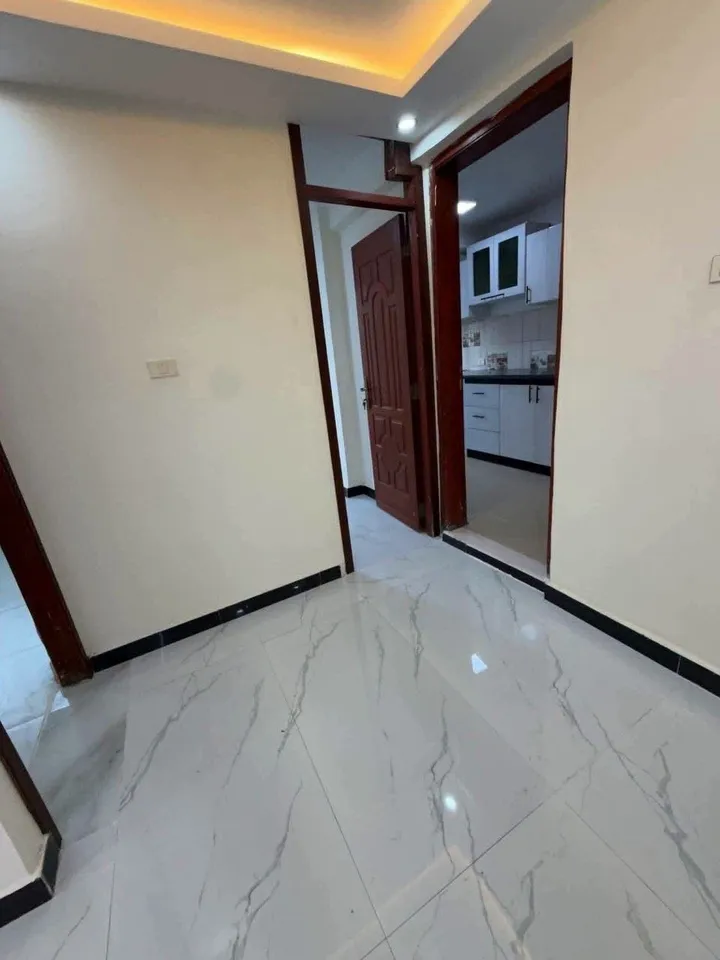 Modern 2-Bedroom Condo in Yeka Abado – photo 7