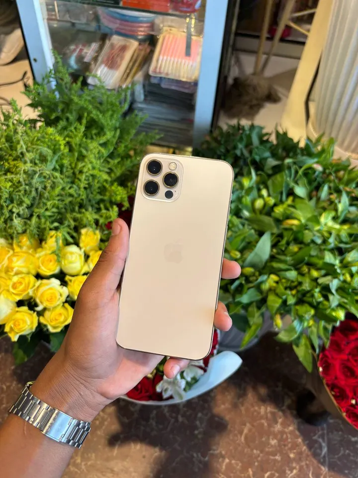 Apple iPhone 12 Pro – photo 3
