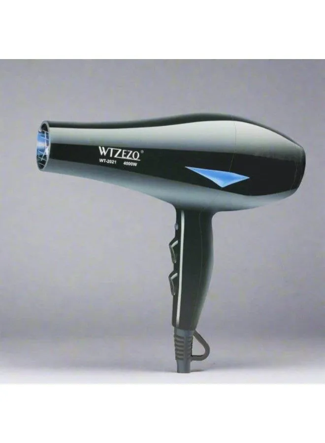 WTZEZO WT-2021 Hair Dryer – photo 3
