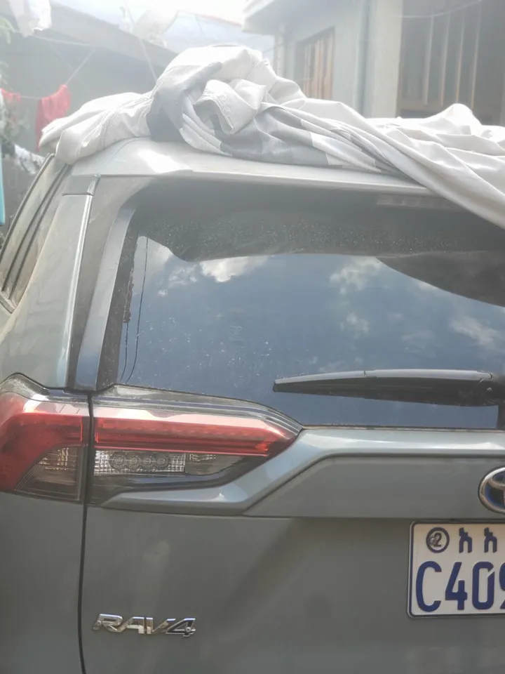 Toyota Rav4 2023 Hybrid SUV – photo 5