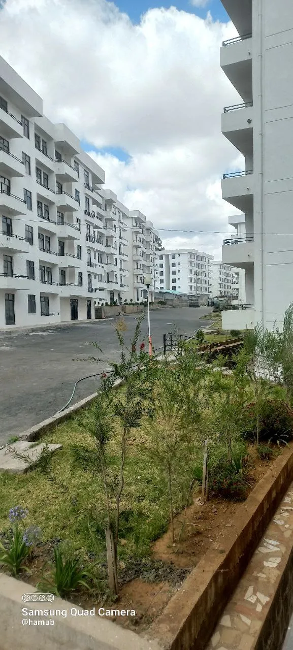 አያት ኖህ 116 ካሬ 3 መኝታ አፓርትመንት – photo 3