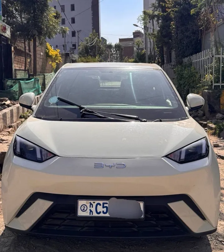 BYD Seagull Premium 2024 Electric – photo 4