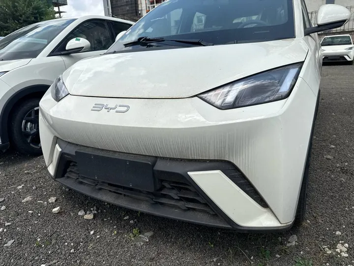 2025 BYD Seagull EV Hatchback – photo 4