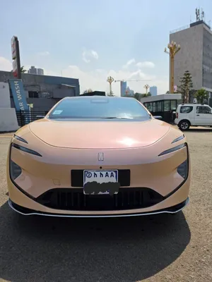 Avatar 12 EV 2025 Electric Car