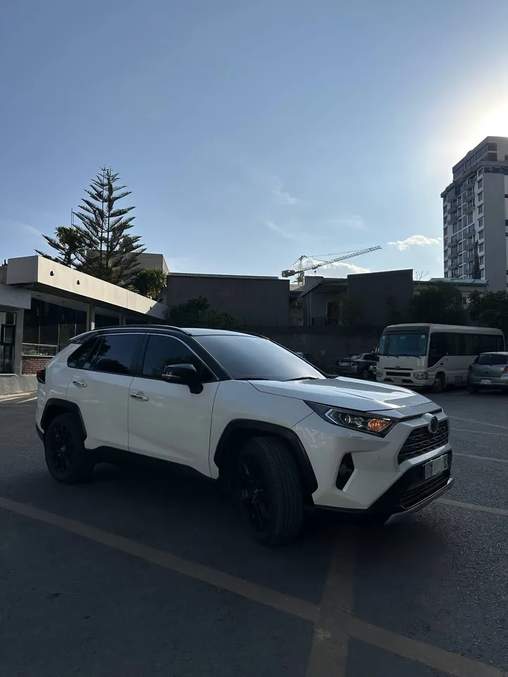 Toyota RAV4 2020 2.5L Petrol – photo 6