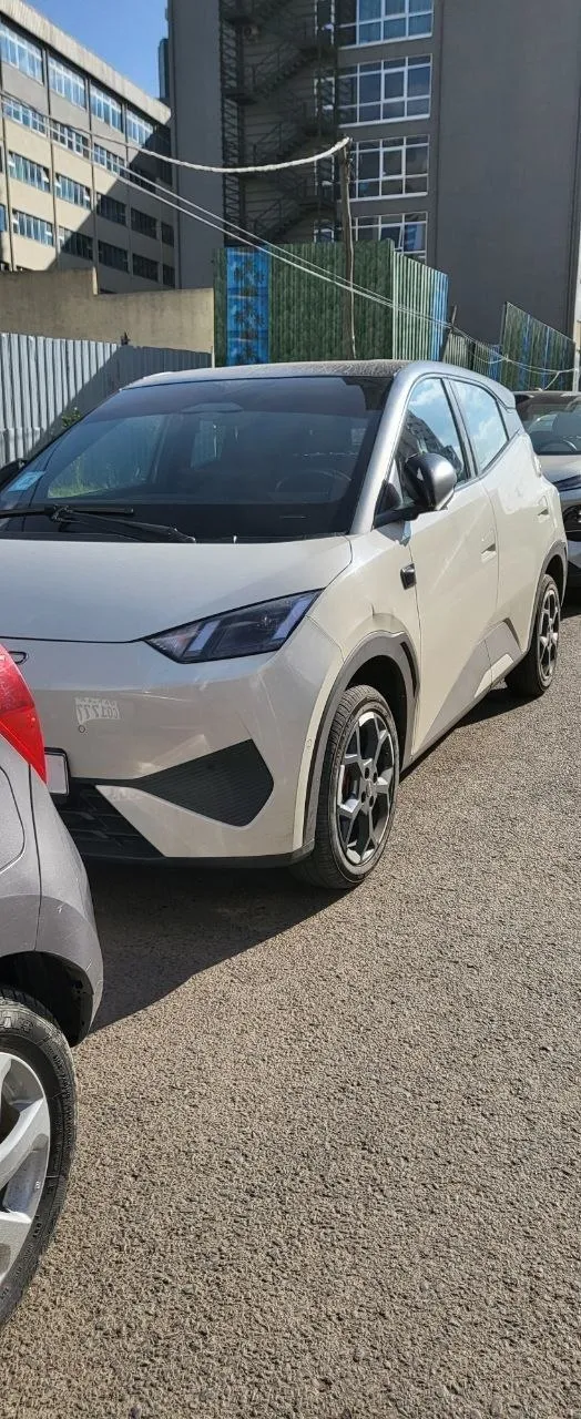 BYD Seagull Smart 2025 EV – photo 4