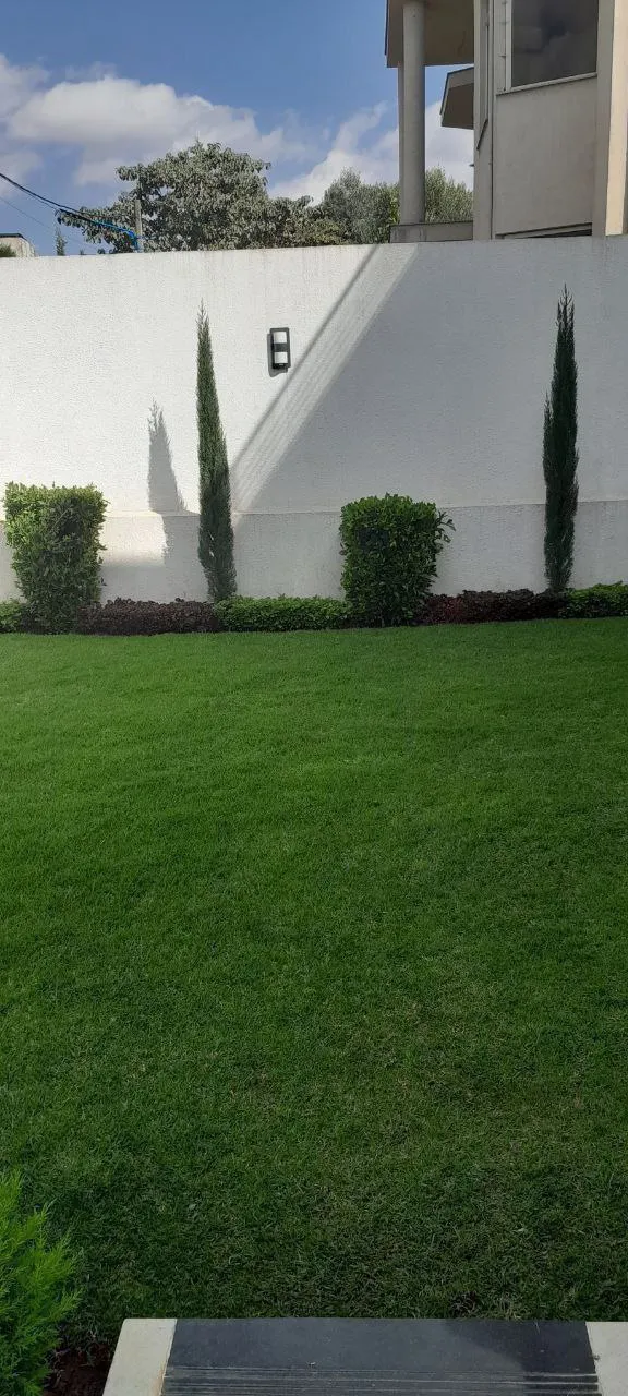 B+G+2 House for Sale in Ayat – photo 6