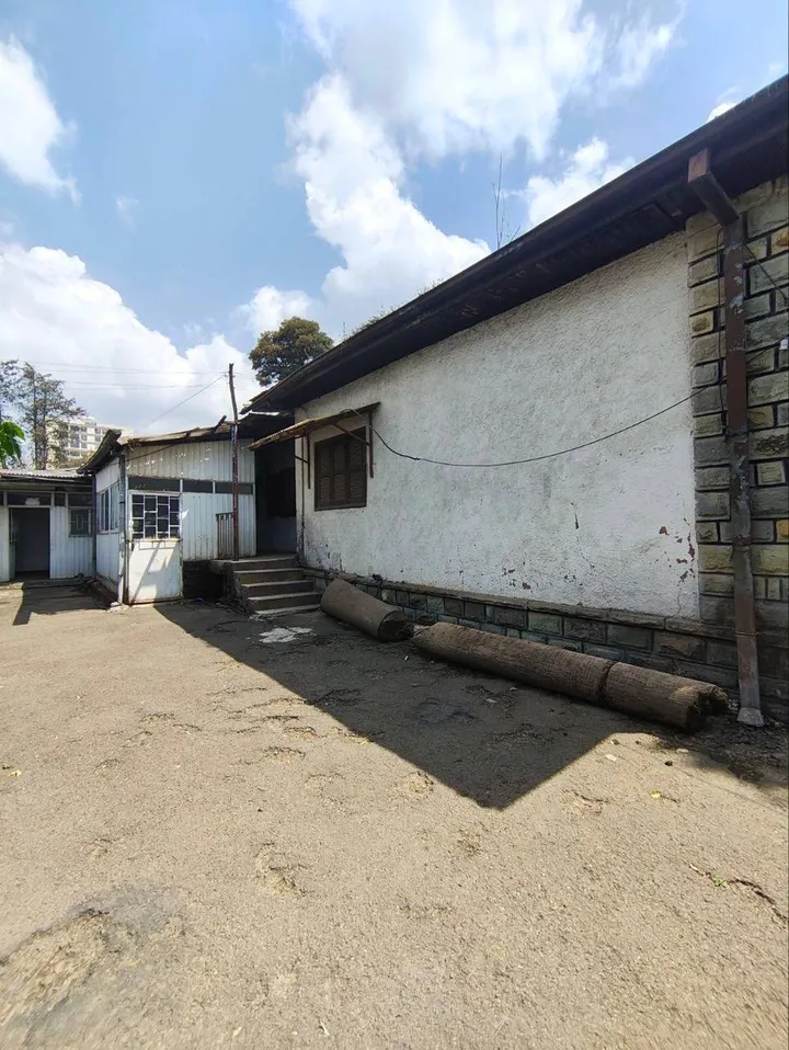 750 sqm Plot for Sale Kazanchis – photo 7