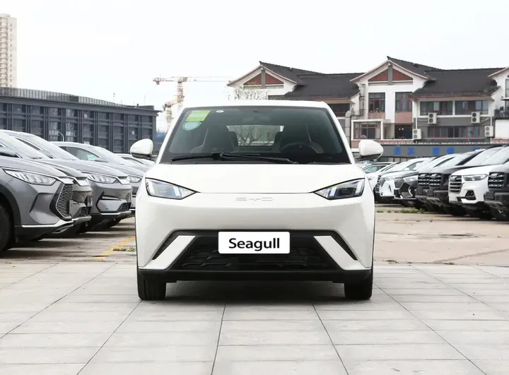 BYD Seagull 2025 405km Electric – photo 3