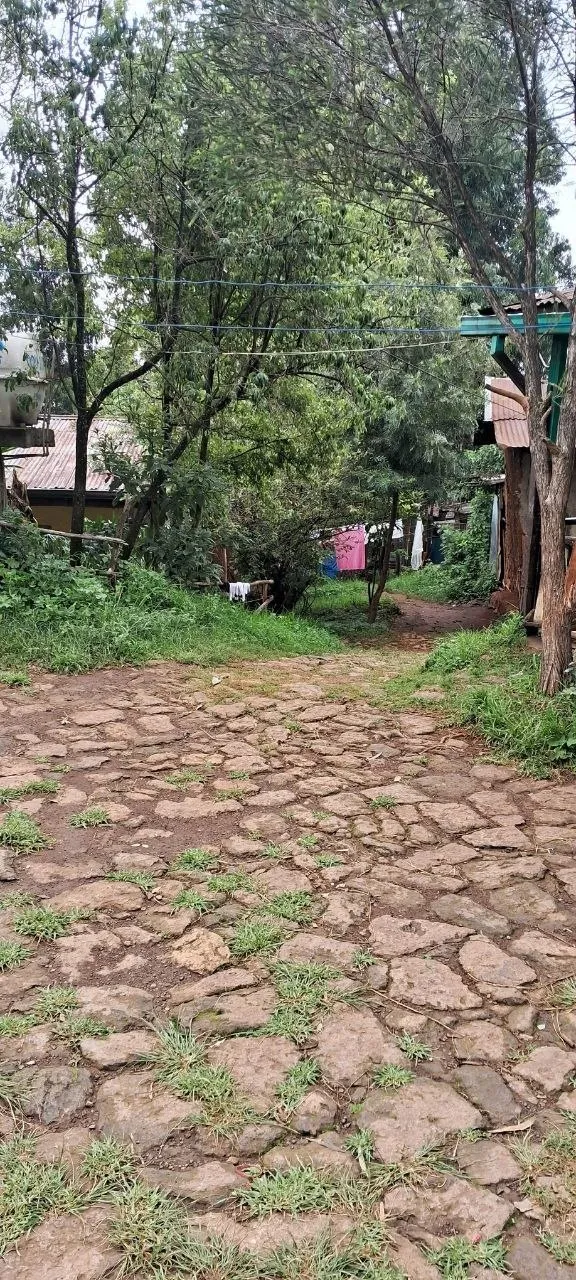1500 sqm Land near English Embassy – photo 3