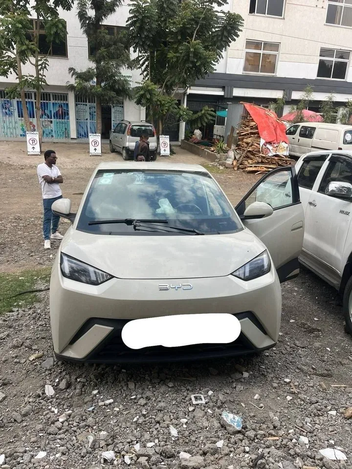 BYD Electric Hatchback 2024 – photo 4