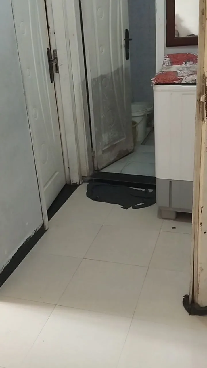 1 Bedroom 54sqm Condominium Bole Arabsa – photo 5