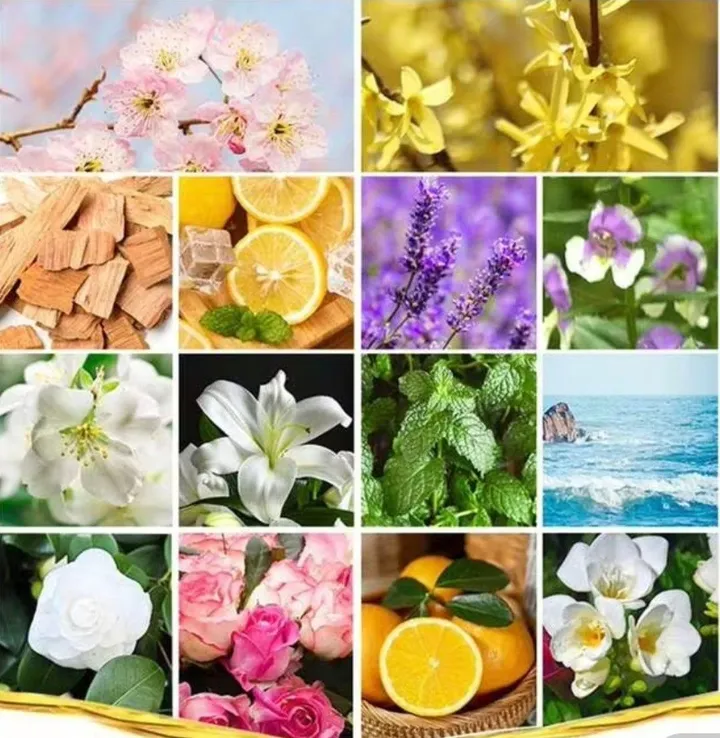 8-Piece Fragrance Oil Set – photo 5