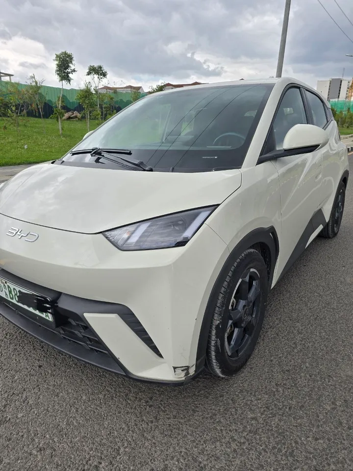 BYD Seagull 2024 Electric 405km – photo 4