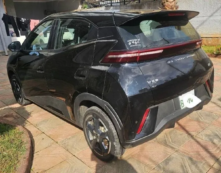 BYD Seagull 2024 Electric SUV – photo 4