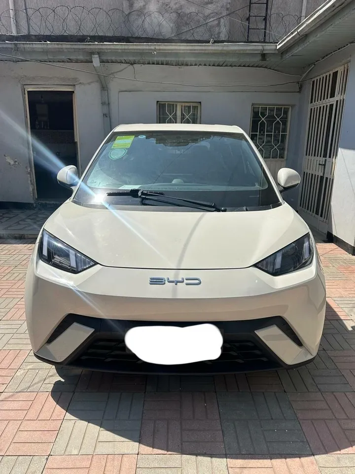BYD Seagull 2024 Premium Electric – photo 3