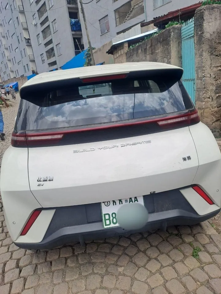 BYD SEGOLL 2024 Electric – photo 6