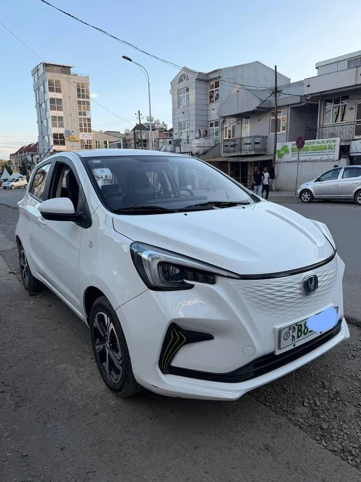 Changan E-Star 2023 Electric SUV – photo 9