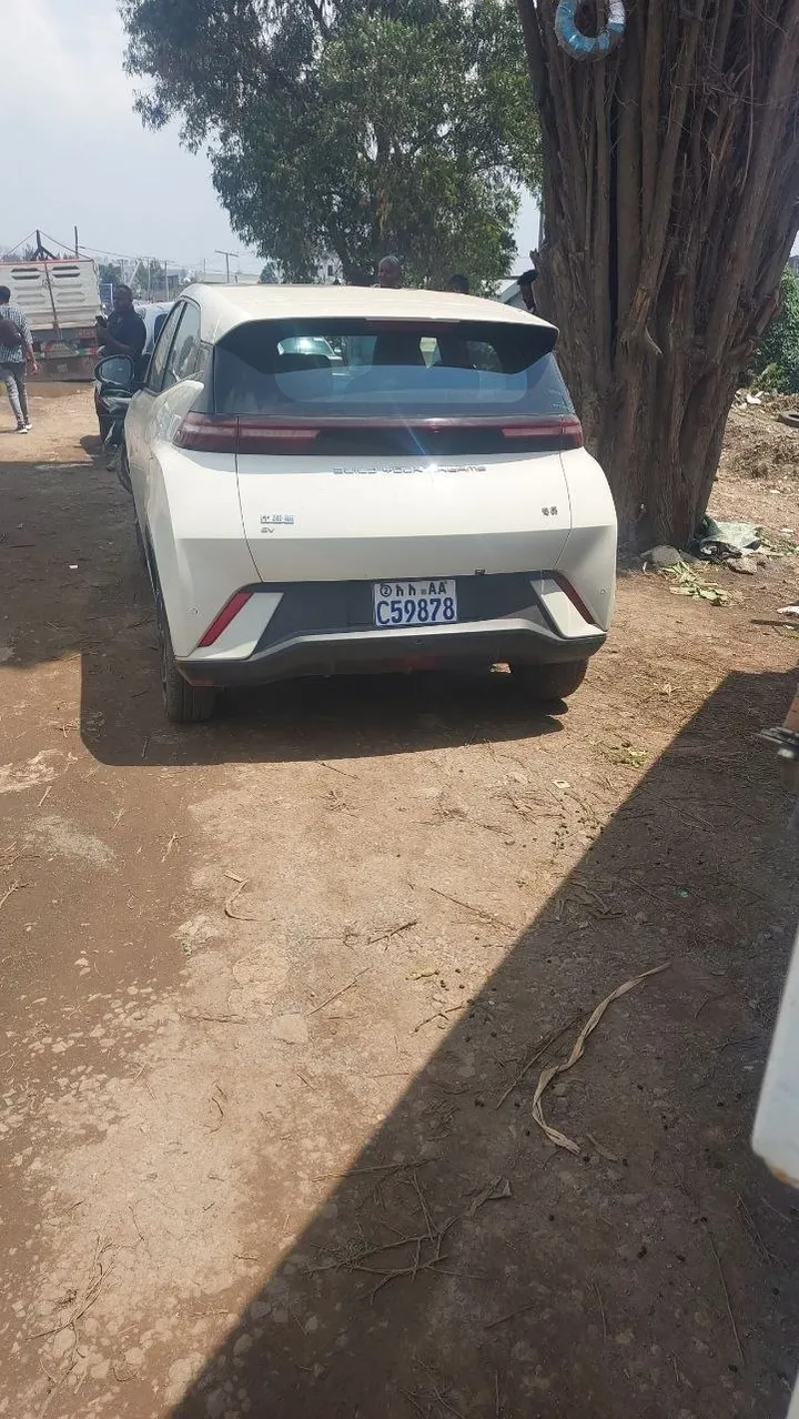 BYD Seagull 2024 20000km – photo 4