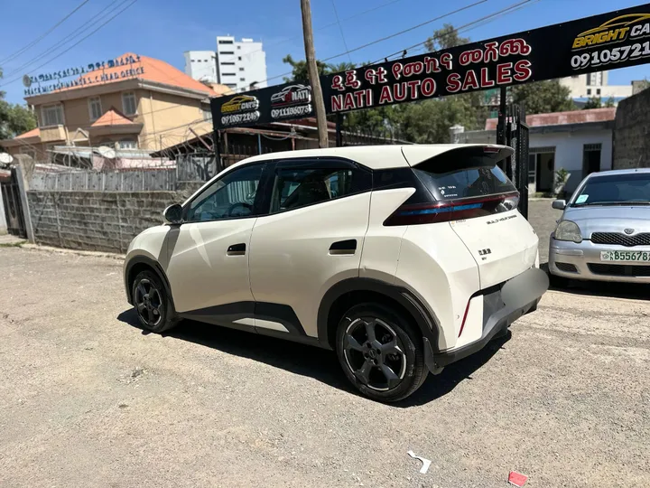 BYD Segul 2024 Electric – photo 3