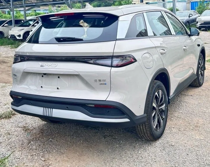 BYD Sealion 05 DM-i Flagship SUV – photo 4