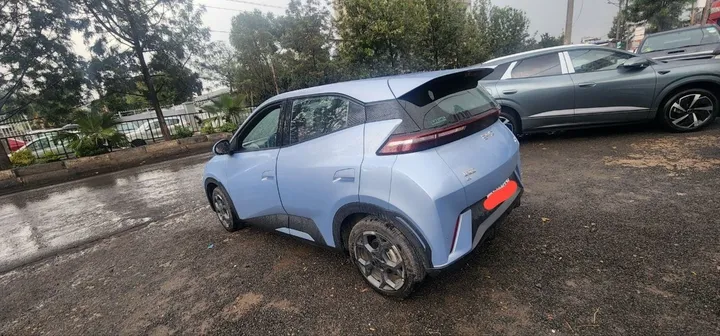 2025 BYD Seagull Electric Automatic – photo 3