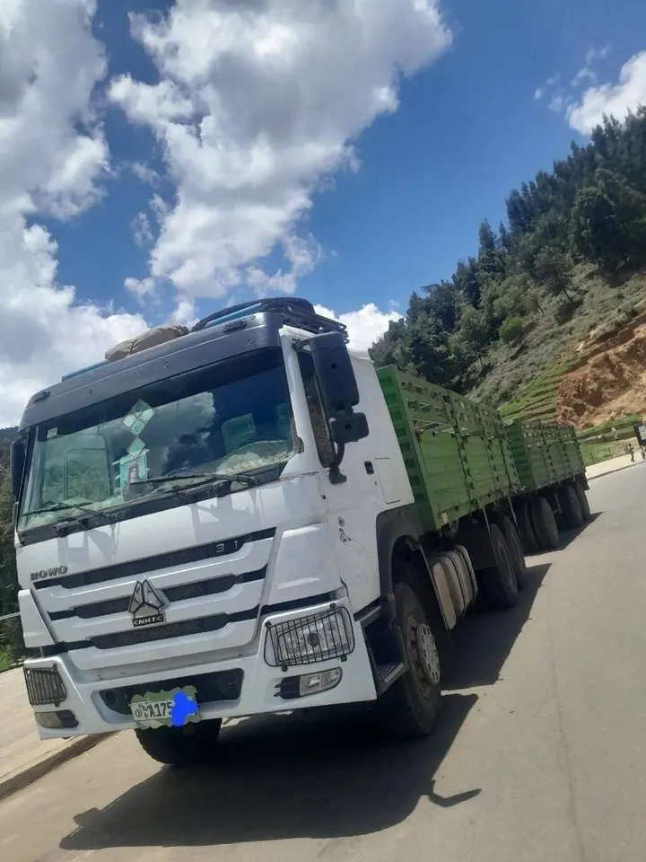 Sinotruk Cargo Truck 2022 – photo 4