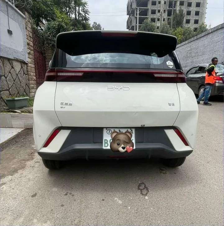 BYD Seagull 2024 Electric – photo 4