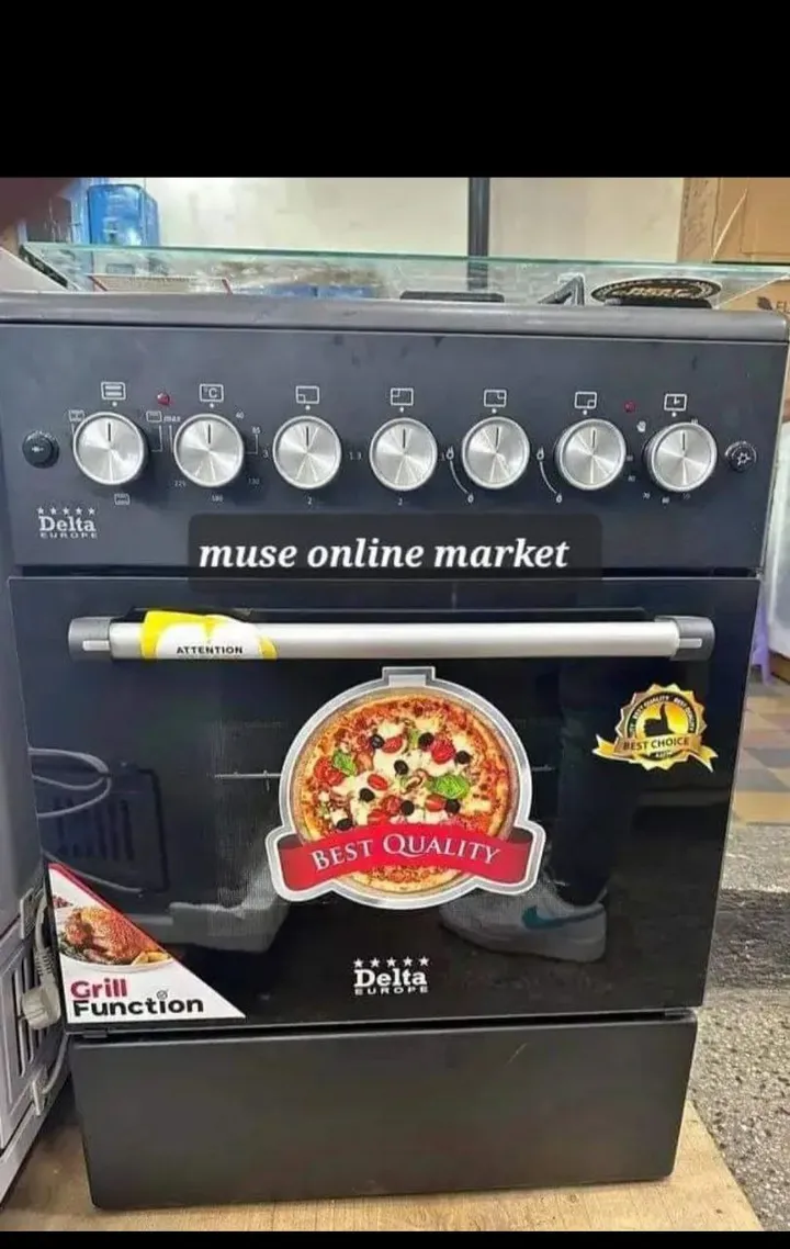 Delta Standing Oven 60x60 – photo 4